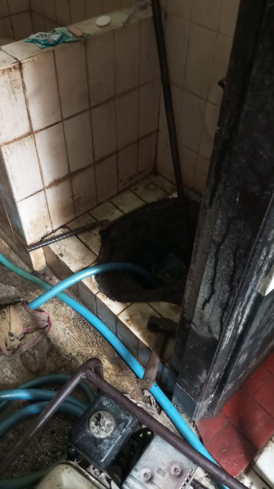 Layanan profesional kami